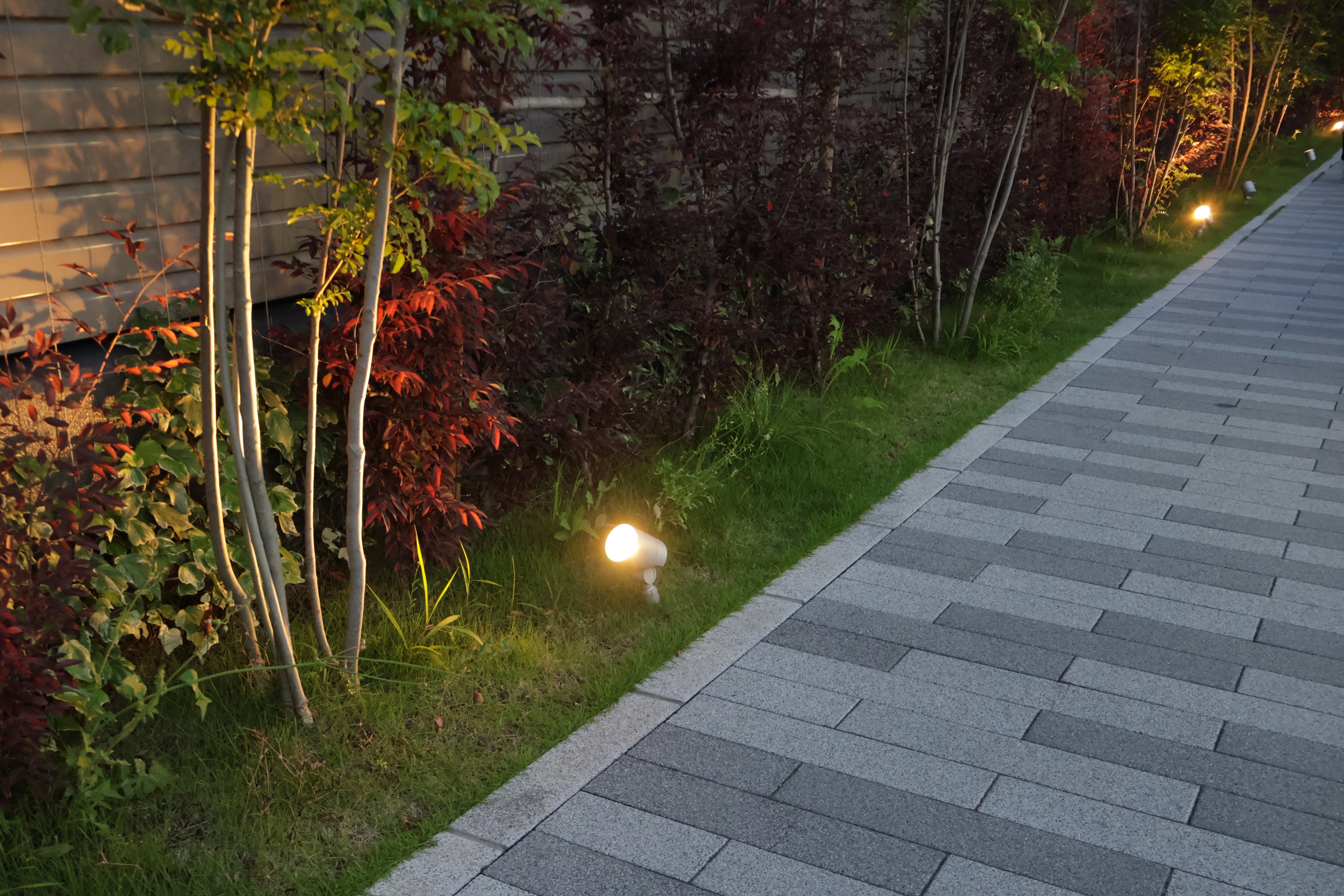 庭木の植え替えイメージ
